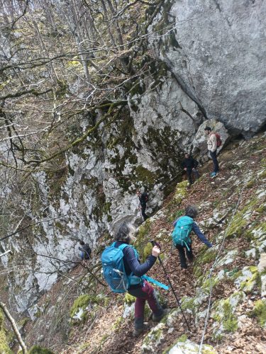 WhatsApp Image 2026-03-29 at 23.07.35